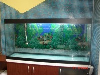 Бескаркасный аквариум